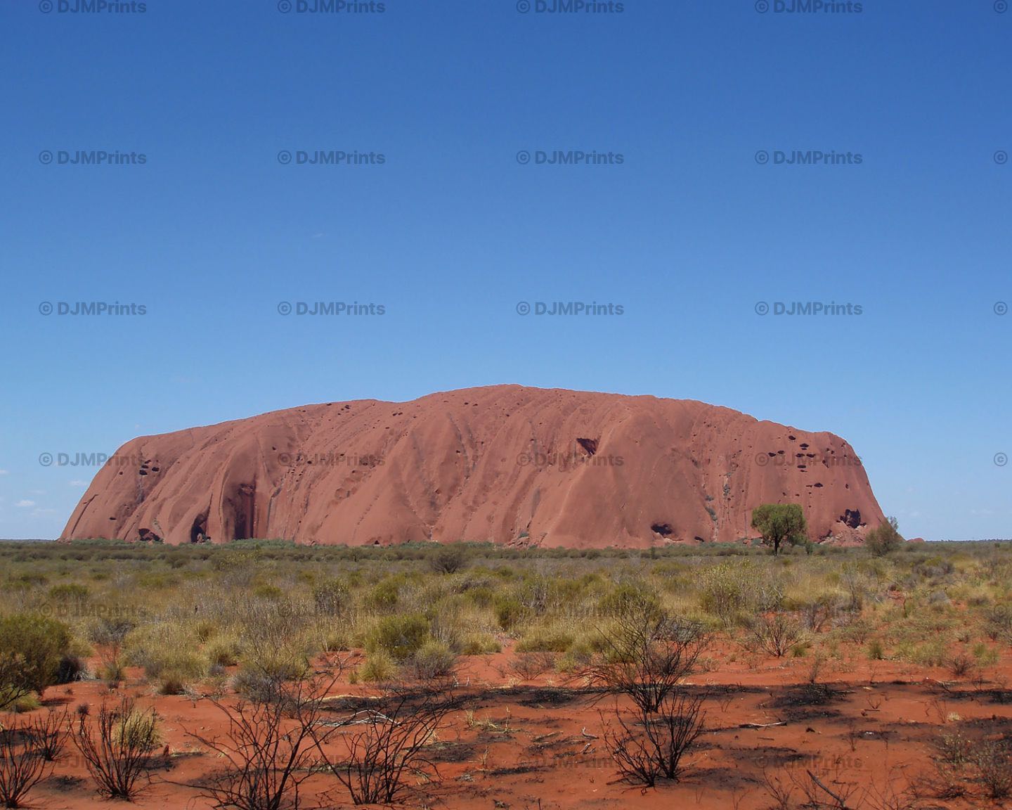 australia, travel, red centre, northern territory, uluru, ayres rock, sandston, red, wide angle, panorama, remarkable peble, blue sky