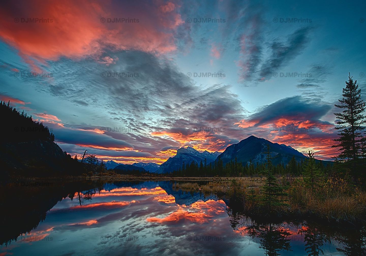 Brian Merry Photography